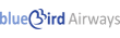 Авиакомпания Blue Bird Airways
