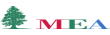 Middle East Airlines